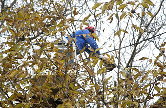 В Дагестане целый район на время обесточат из-за ремонтных работ