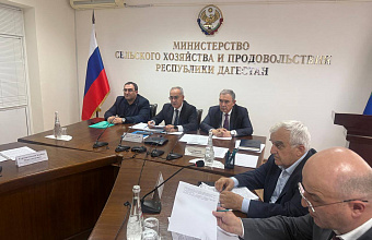 Дагестан перешел на электронную систему ведения похозяйственных книг