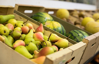 В Дагестане появятся еще два новых фруктохранилища