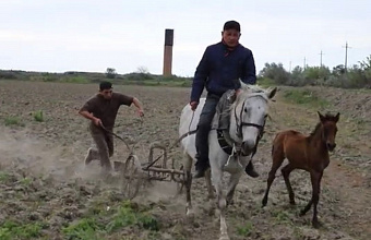 В Кизлярском районе возрождают заброшенные рисовые чеки