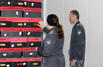 В Дагестан за месяц пытались завезти более 200 тонн зараженной сельхозпродукции