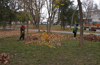 В Махачкале проводятся комплексные работы по очистке сухостоя и опавшей листвы