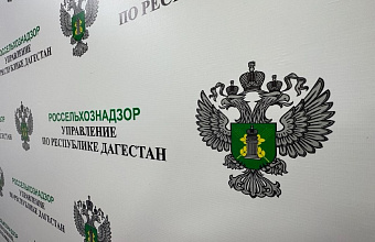 Более 300 сайтов, незаконно реализующих ветеринарные препараты, выявили в Дагестане