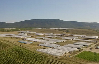 Более 2,5 млрд рублей вложено в проекты теплиц в Карабудахкентском районе