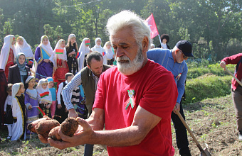 В Ахвахском районе собрали картофель из Беларуси