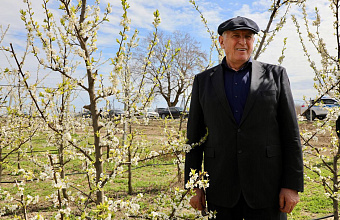 Прорывной проект: Сливовые и яблочные сады почти на 100 га зацвели в Дербентском районе Дагестана