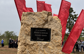 Более 70 деревьев посажено в «Саду памяти» ДГУ