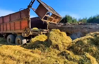 В Казбековском районе началась заготовка кормов на зимний период