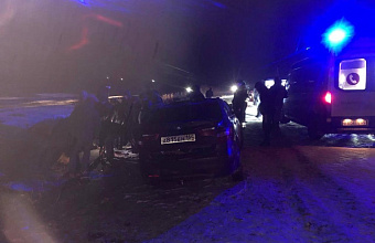 Муж с женой погибли в пригороде Махачкалы после наезда на лошадей