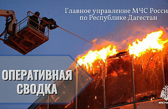 36 пожаров зарегистрировано в Дагестане за минувшие сутки