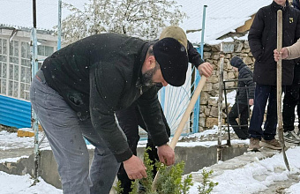 В Гунибском районе поддержали Международную акцию «Сад памяти»