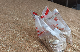 Россельхознадзор Дагестана выявил сотни нарушений при декларировании зерна