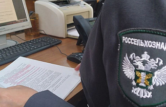 Россельхознадзор по Дагестану выявил нарушения при ввозе подкарантинной сельхозпродукции