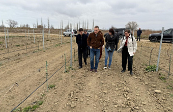 Руководство Минфина России оценило состояние крупнейших винно-коньячных заводов Дагестана