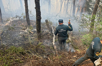 В Ботлихском районе продолжают тушить возгорание сухой травы