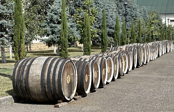 Дагестан вошел в топ-3 привлекательных направлений для агротуризма в 2025 году