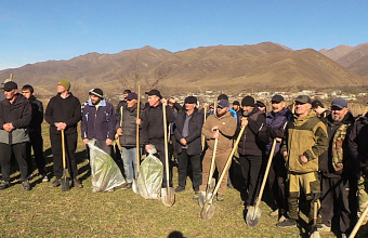 800 сосен для восстановления Хрюгского леса высадили в Ахтынском районе