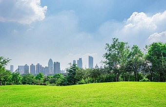 Порядка 30 тысяч махачкалинцев проголосовали за выбор территорий для благоустройства