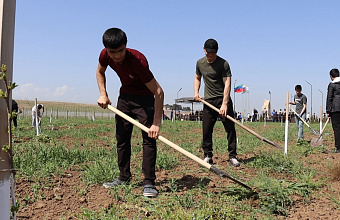 В Дербентском районе в рамках республиканского субботника привели в порядок «Сад памяти»