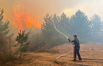 В Дагестане потушили пожар в природном парке «Хунзахский»