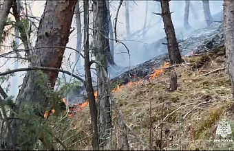 В Дагестане продолжается ликвидация ландшафтных пожаров