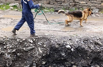 Поиски пропавшего мальчика продолжаются в Дагестане