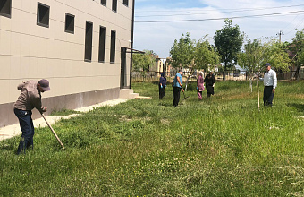 Сотрудники Учкентской детской школы искусств поддержали акцию «Марафон зеленых дел»