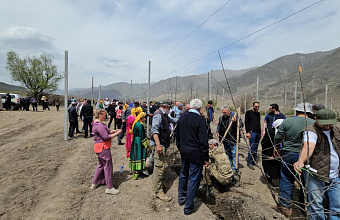 На юге Дагестана прошла закладка закладки саженцев первого суперинтенсивного сада