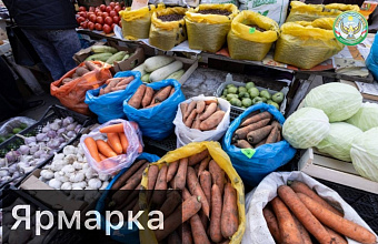 В Шамильском районе пройдет сельскохозяйственная ярмарка