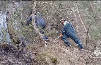 Ландшафтный пожар ликвидирован в Дагестане