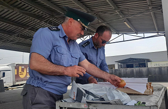 Россельхознадзор Дагестана выявил карантинные вредные объекты при ввозе плодовоовощной продукции