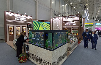 Агропромышленная выставка «Золотая осень» стартовала в «Тимирязев Центре»